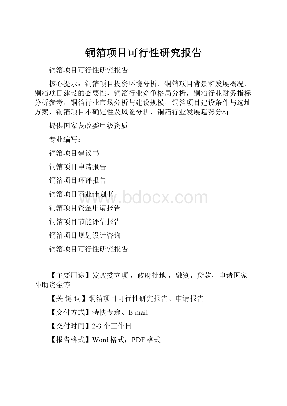 铜箔项目可行性研究报告.docx