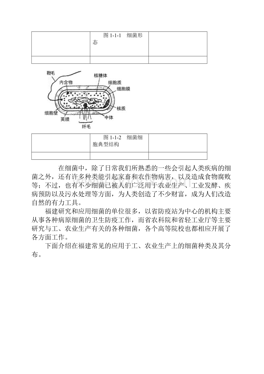 细 菌Word格式.docx_第2页