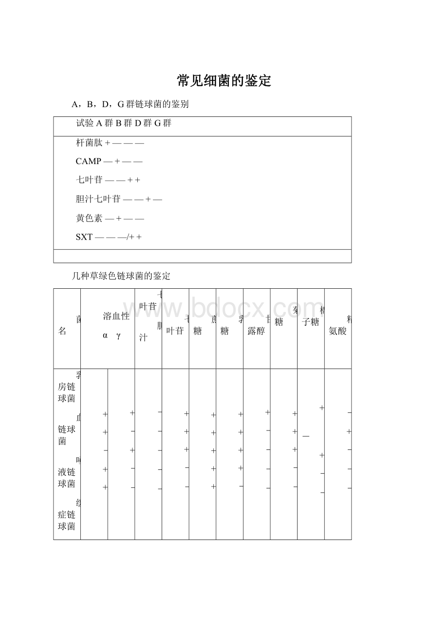 常见细菌的鉴定.docx