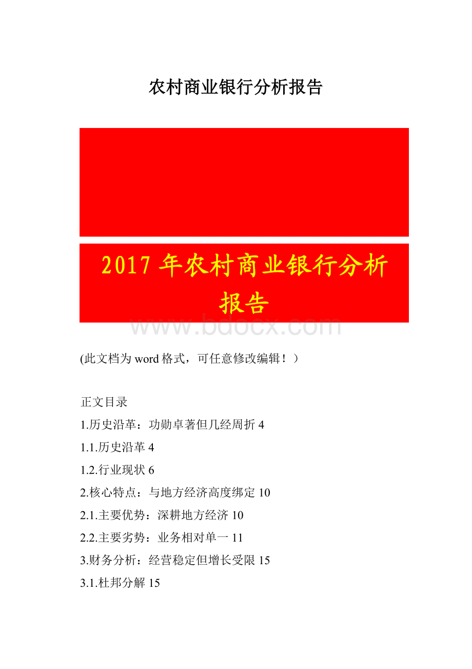 农村商业银行分析报告.docx_第1页