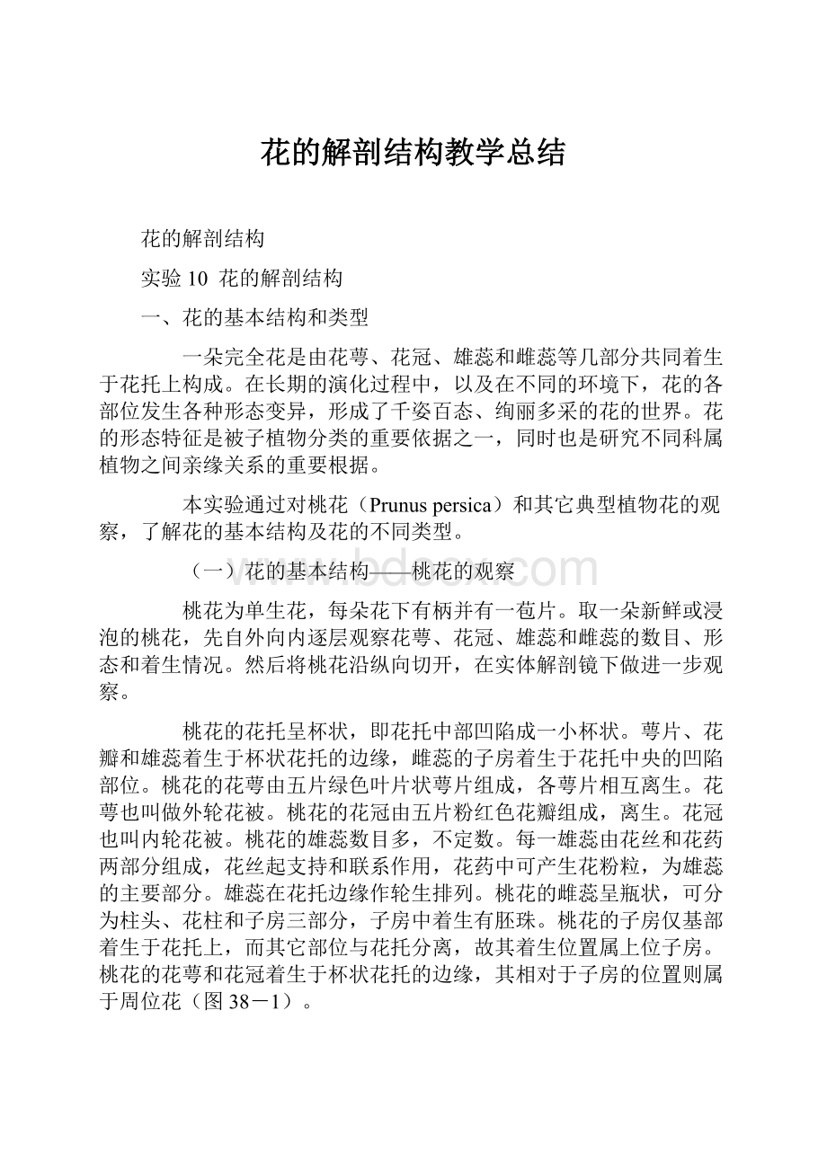 花的解剖结构教学总结Word格式文档下载.docx