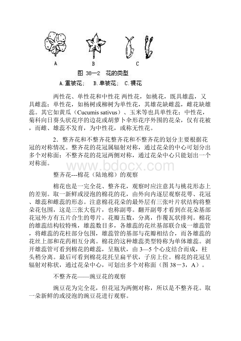 花的解剖结构教学总结.docx_第3页