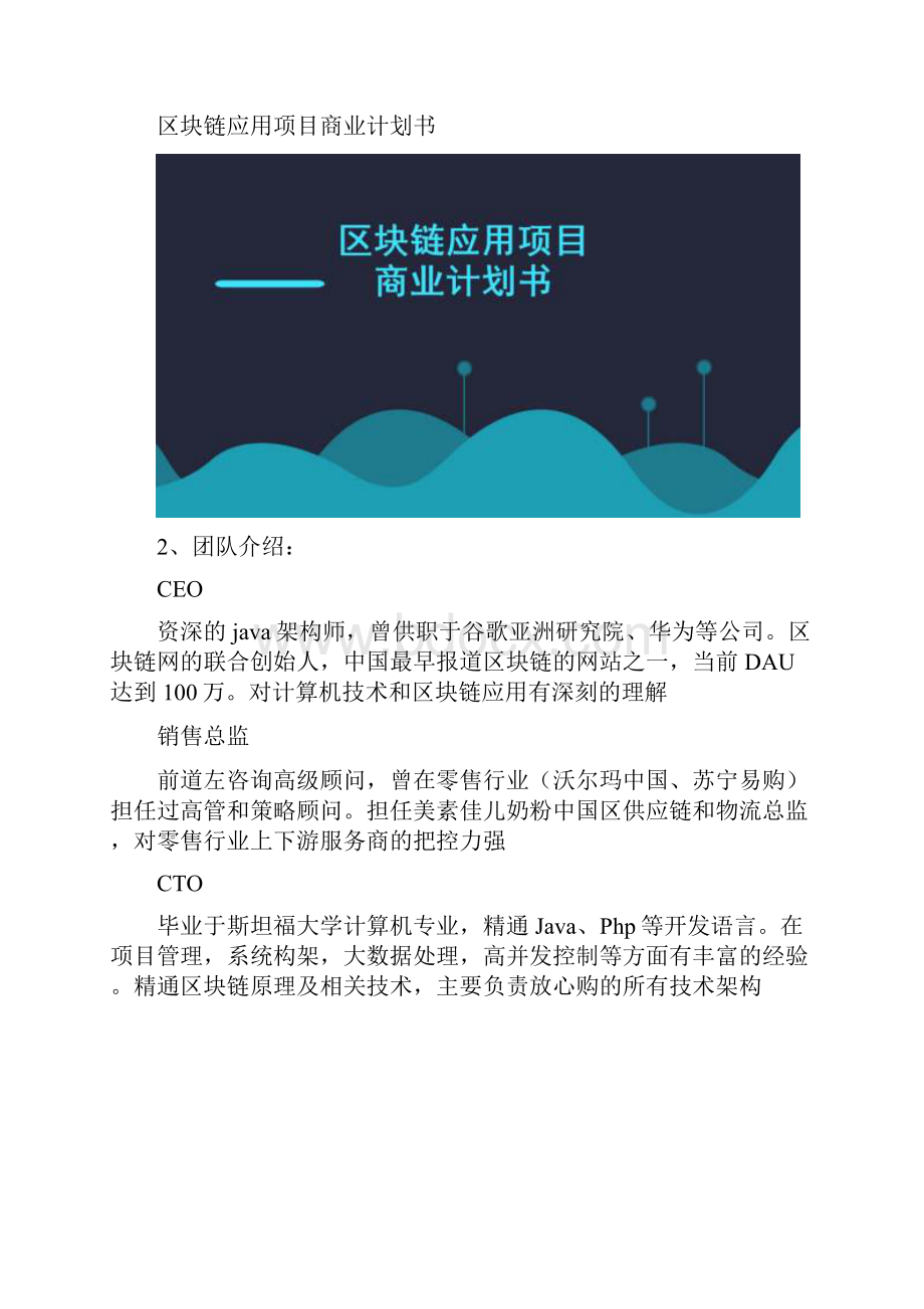 区块链应用项目商业计划书范文.docx_第2页