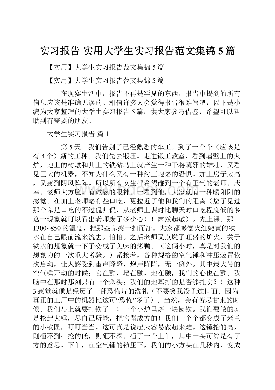 实习报告 实用大学生实习报告范文集锦5篇Word文档格式.docx