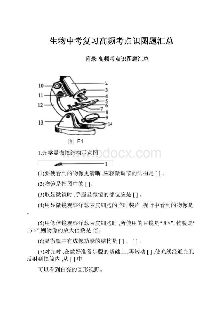 生物中考复习高频考点识图题汇总Word文件下载.docx_第1页