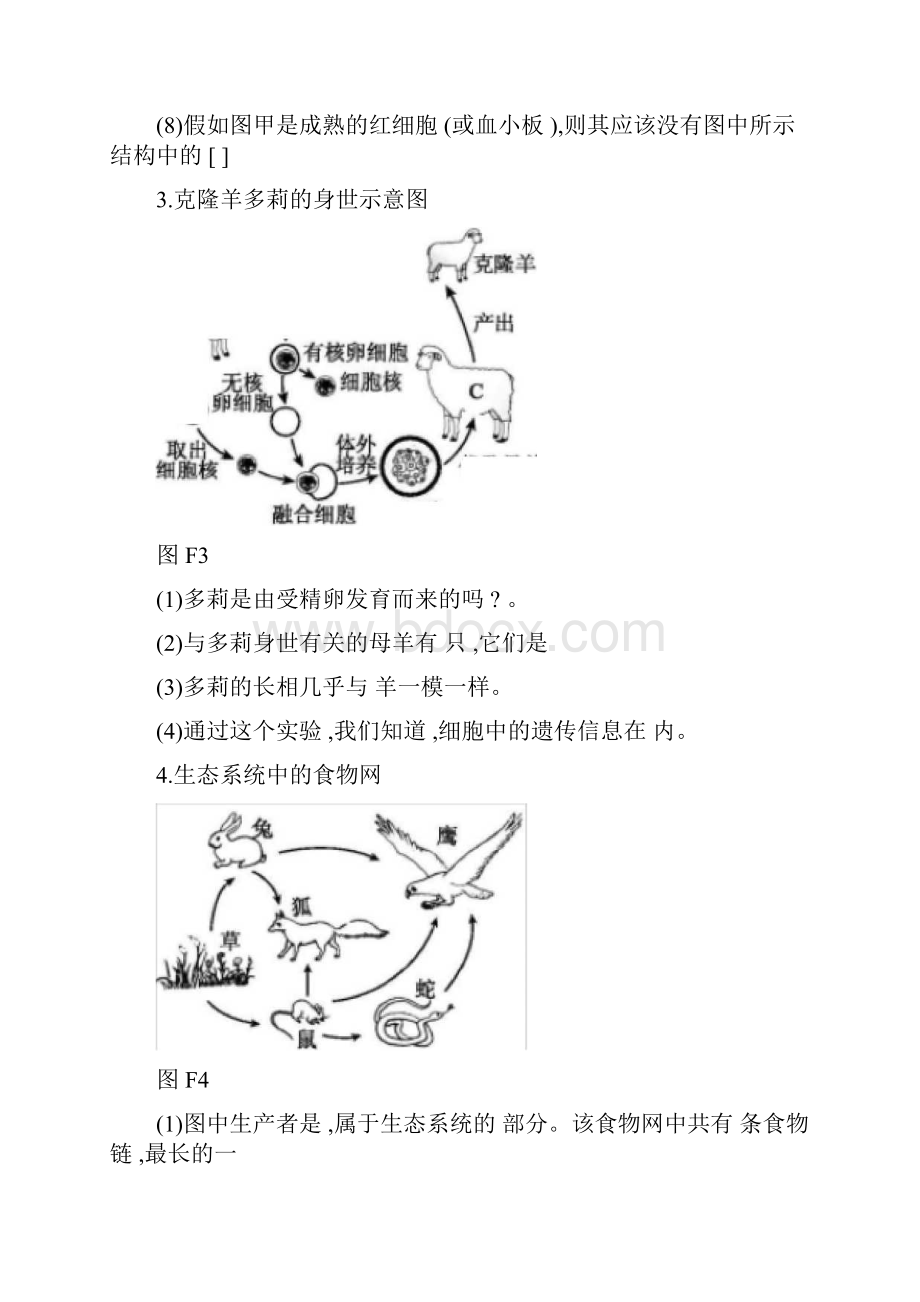 生物中考复习高频考点识图题汇总Word文件下载.docx_第3页