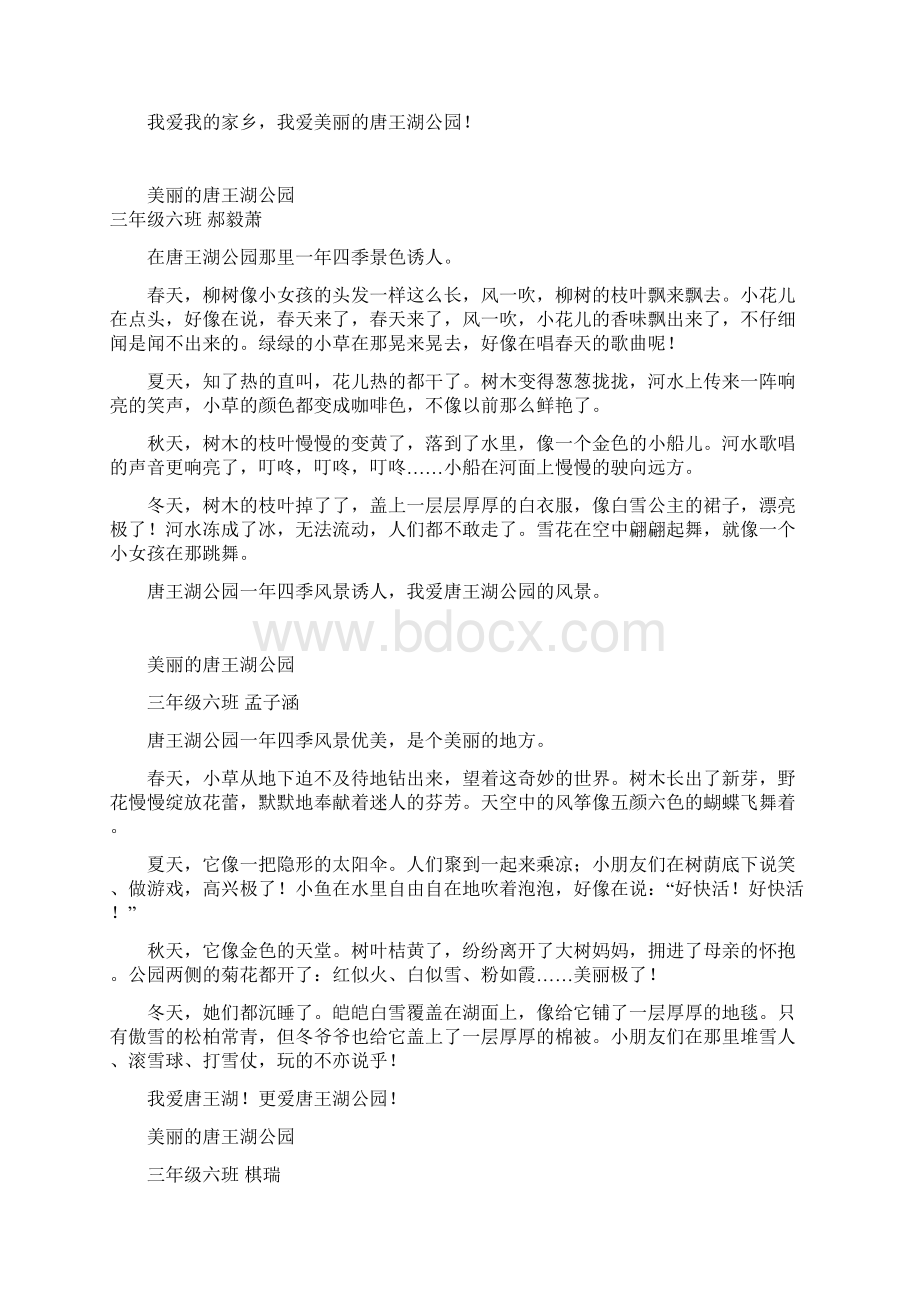 美丽的唐王湖公园.docx_第2页