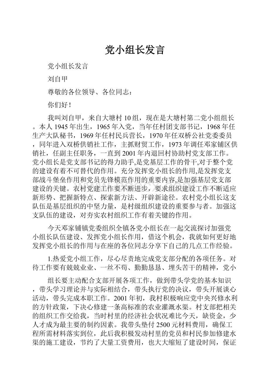 党小组长发言.docx