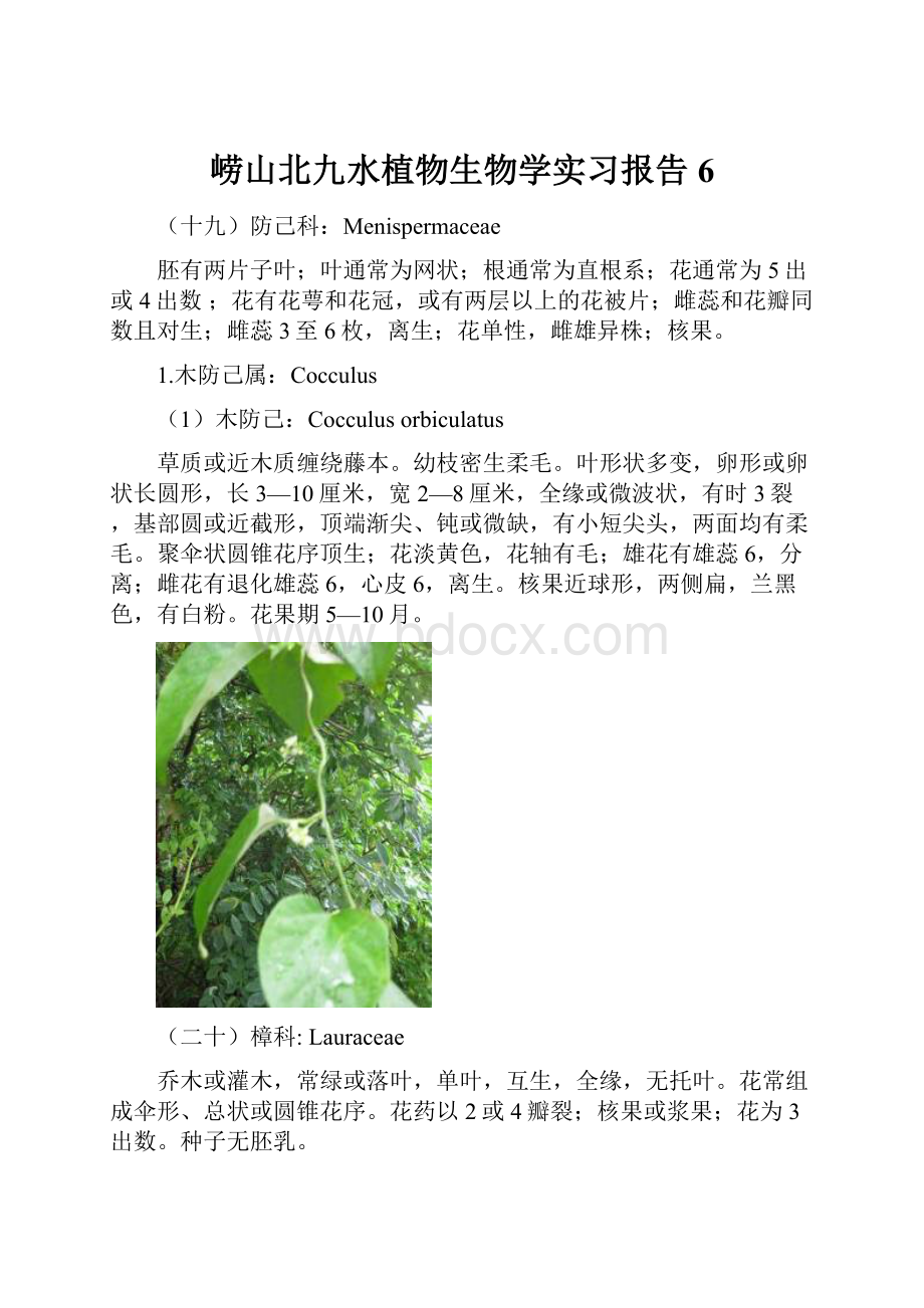 崂山北九水植物生物学实习报告6Word格式文档下载.docx