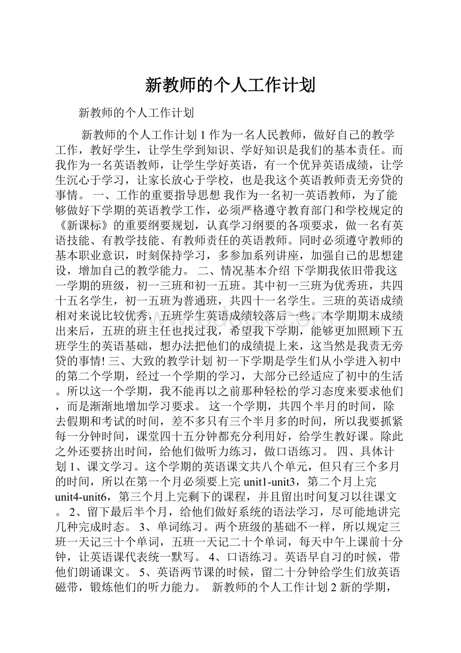 新教师的个人工作计划.docx