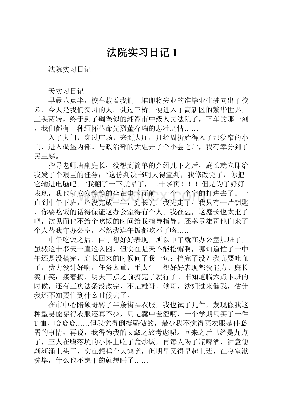 法院实习日记1.docx