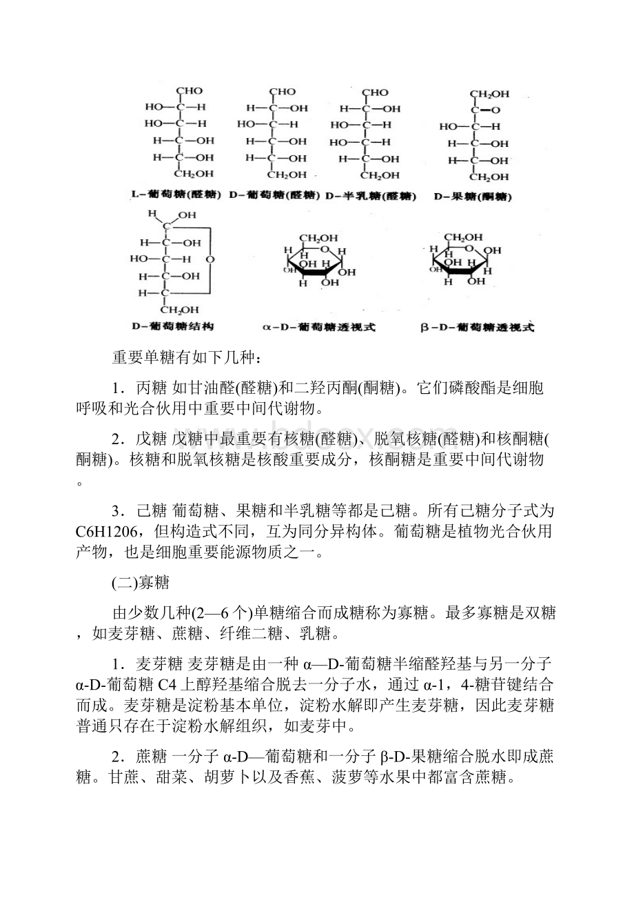 高中生物竞赛辅导资料细胞生物学.docx_第3页