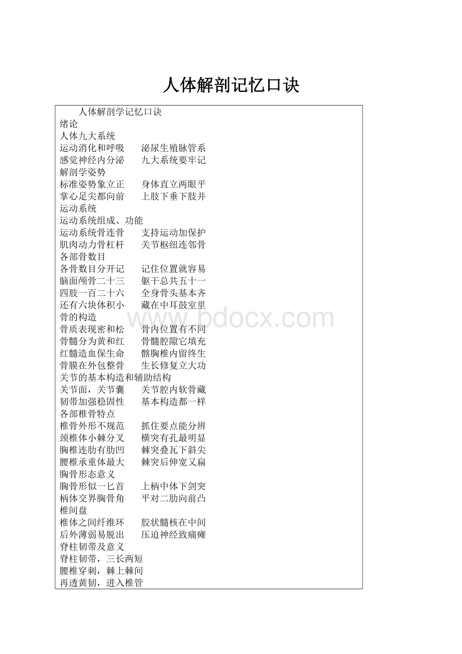 人体解剖记忆口诀Word文件下载.docx