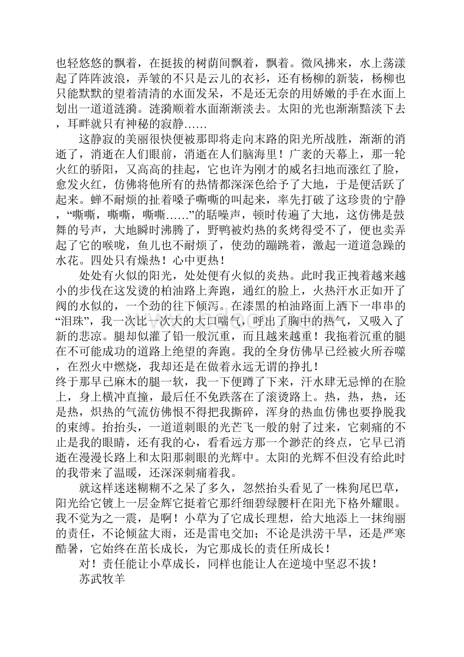 有一种责任叫坚强高三作文.docx_第3页