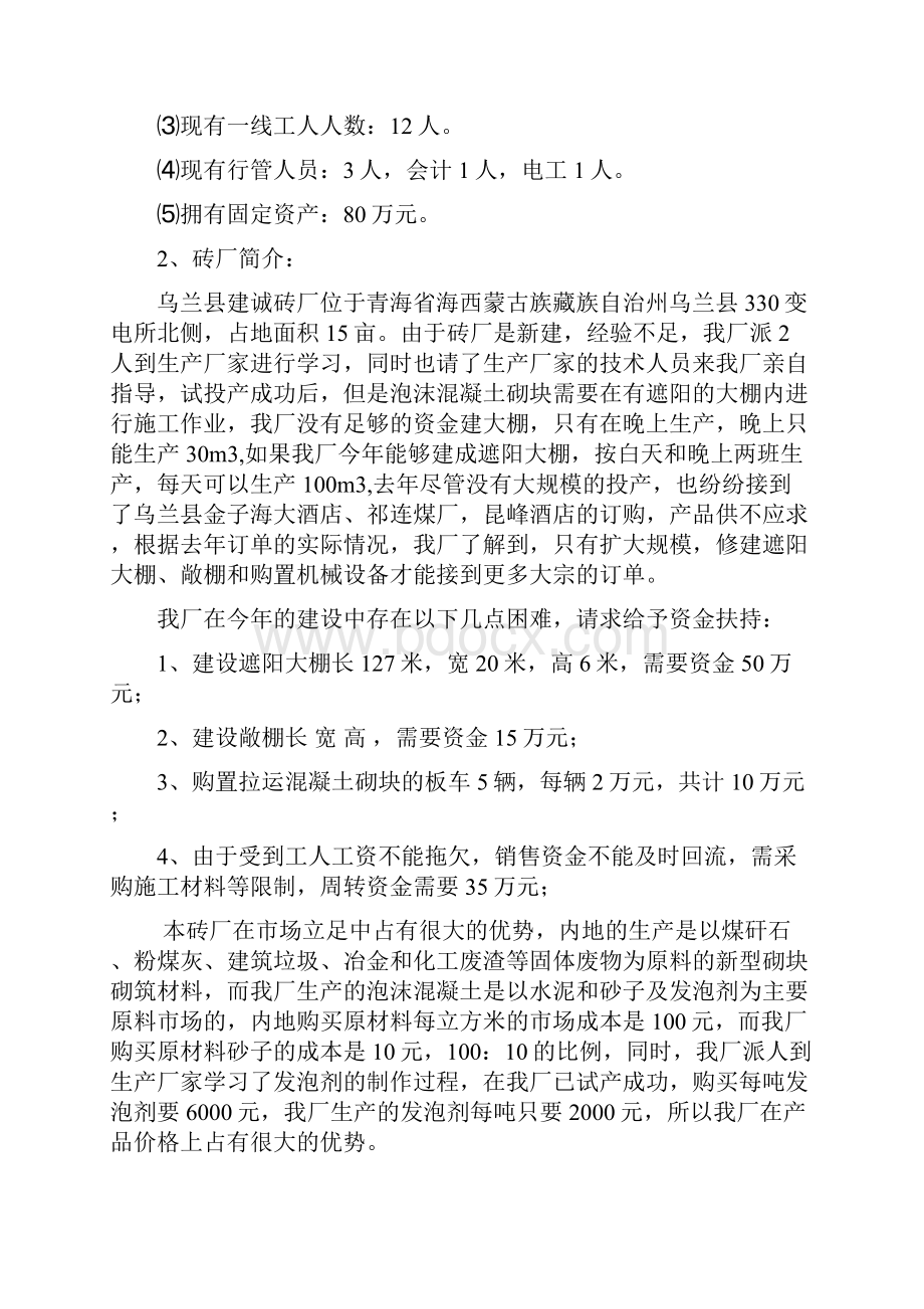 泡沫混凝土墙体项目可行性分析报告文档格式.docx_第2页