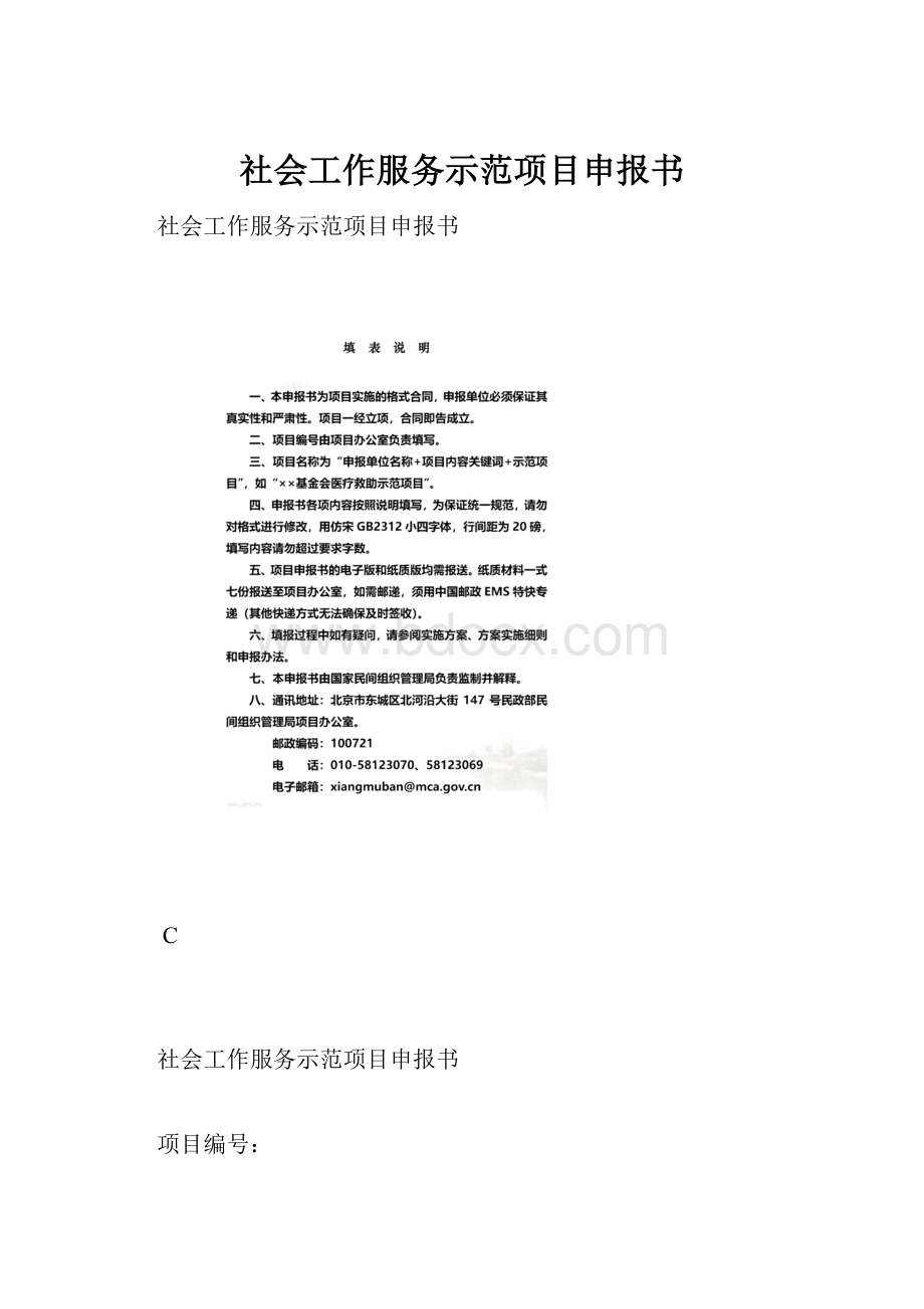 社会工作服务示范项目申报书Word文档下载推荐.docx_第1页