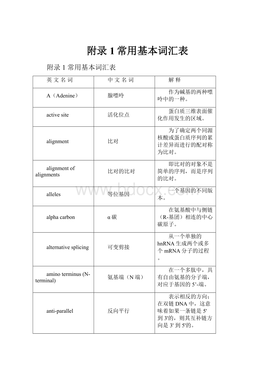 附录1常用基本词汇表.docx_第1页