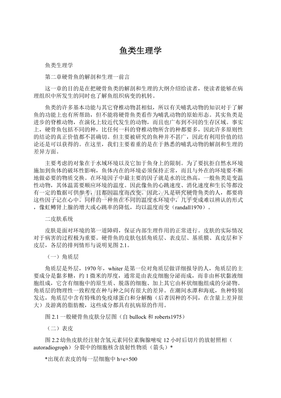 鱼类生理学文档格式.docx_第1页