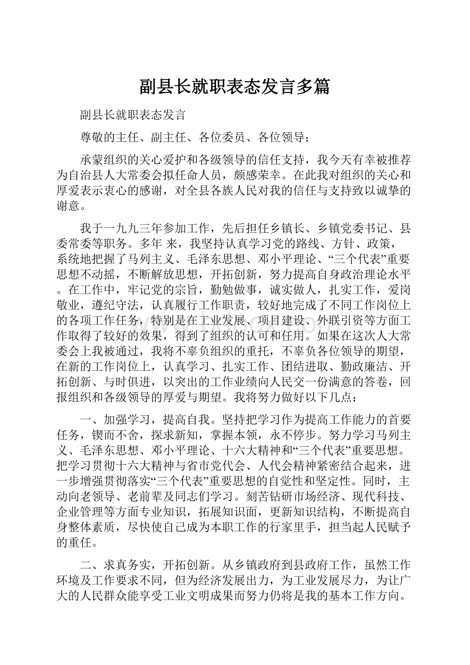 副县长就职表态发言多篇.docx