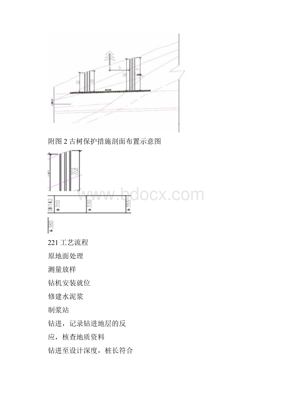 古树保护加固方案.docx_第3页