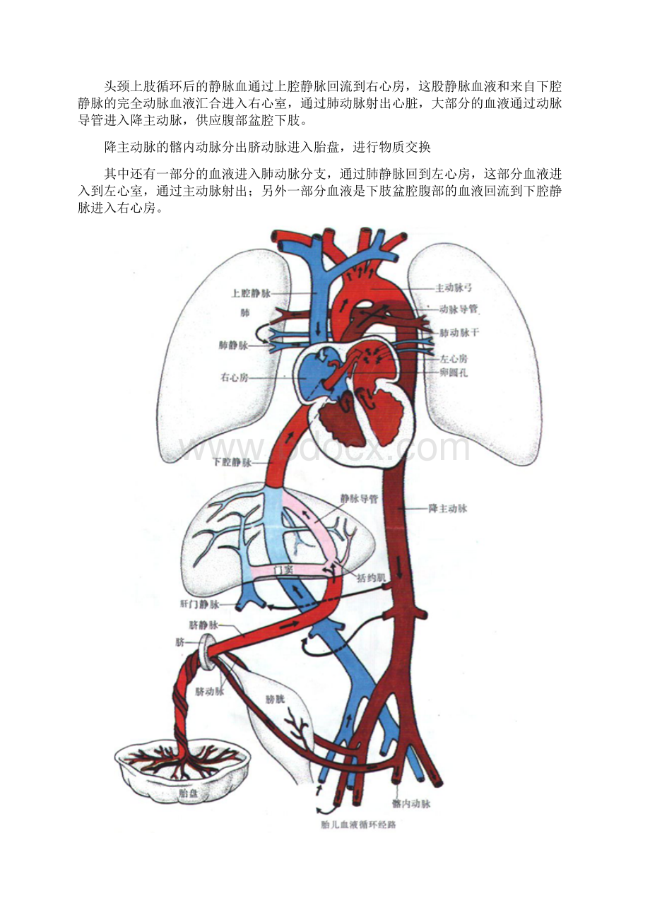 最新动脉导管未闭图文详细讲解.docx_第2页