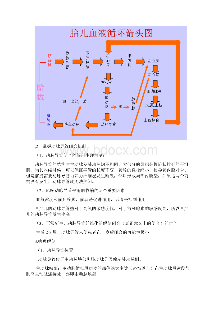 最新动脉导管未闭图文详细讲解.docx_第3页