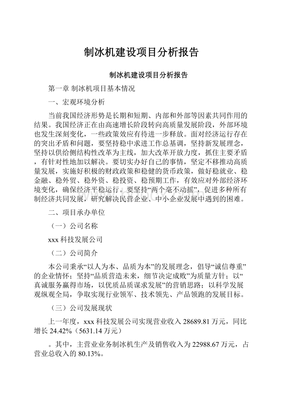 制冰机建设项目分析报告Word文件下载.docx