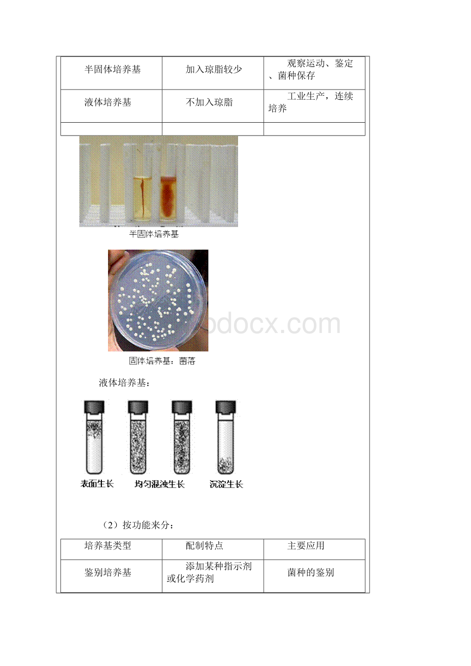 第四节 微生物的培养与应用Word文件下载.docx_第2页