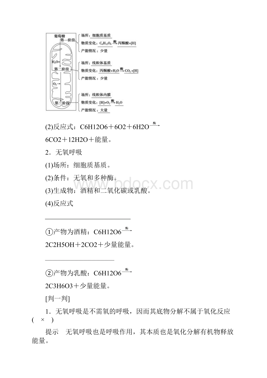 高三苏教版生物一轮复习精讲精练9细胞呼吸解析Word下载.docx_第2页