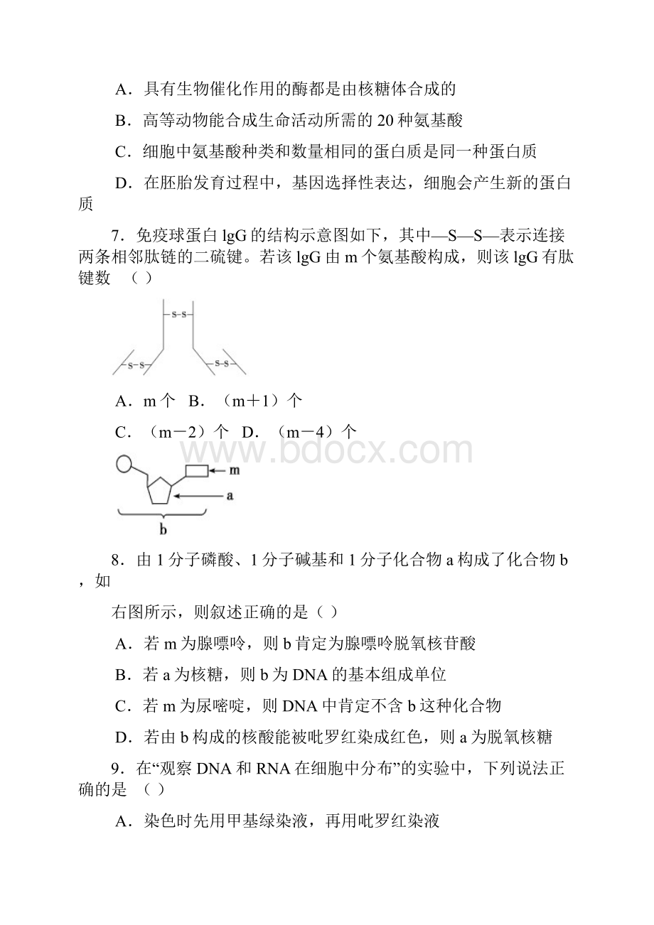 黑龙江省哈师大附中届高三份月考试题生物.docx_第3页