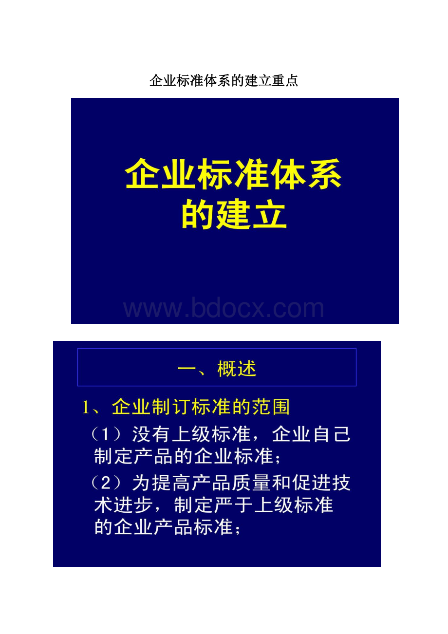 企业标准体系的建立重点Word文件下载.docx