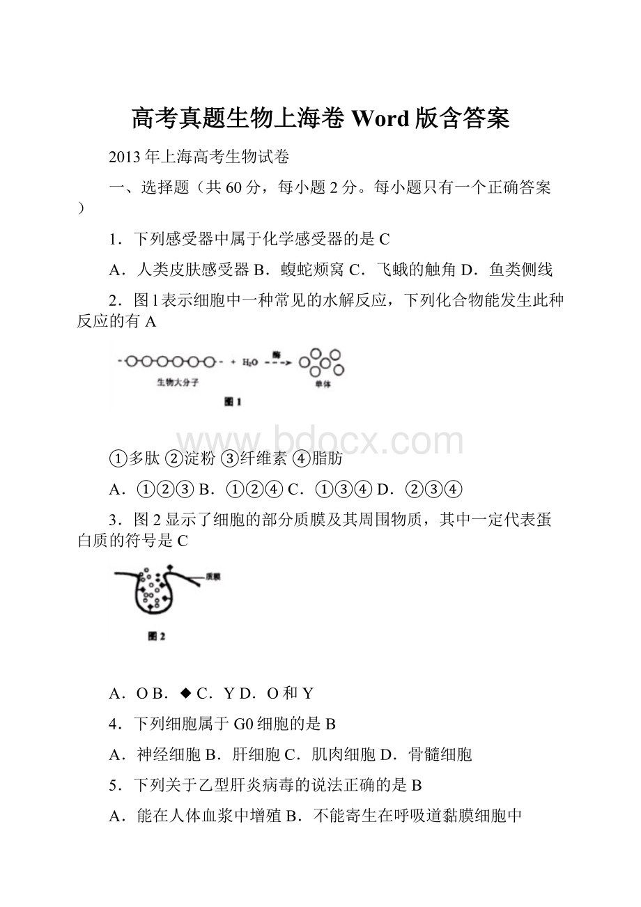 高考真题生物上海卷 Word版含答案.docx