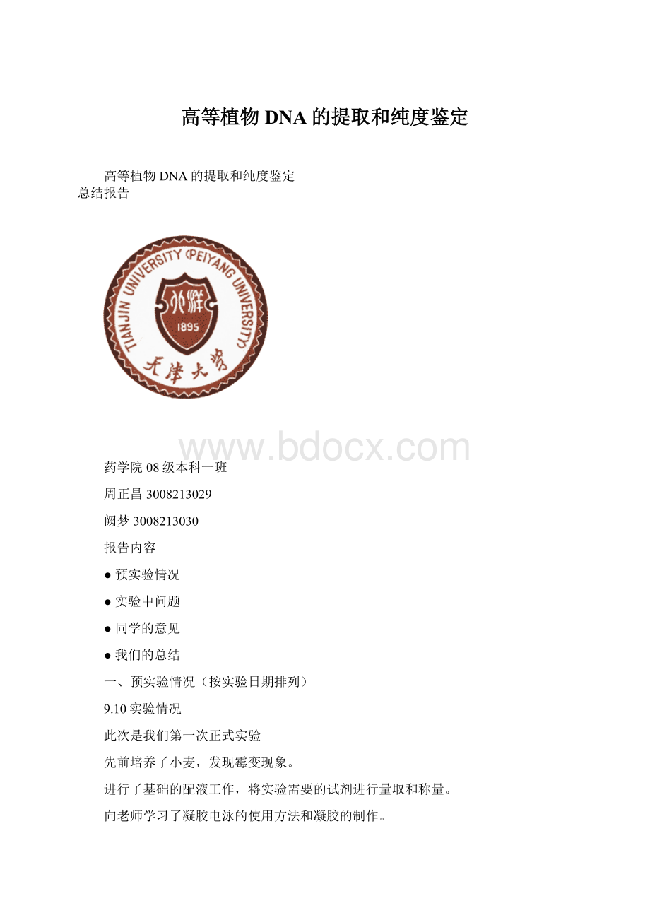 高等植物DNA的提取和纯度鉴定Word格式文档下载.docx