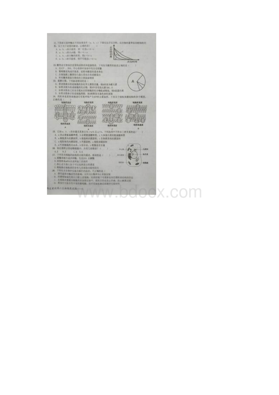 江西省上高县第二中学学年高二上学期期末考Word文档格式.docx_第2页