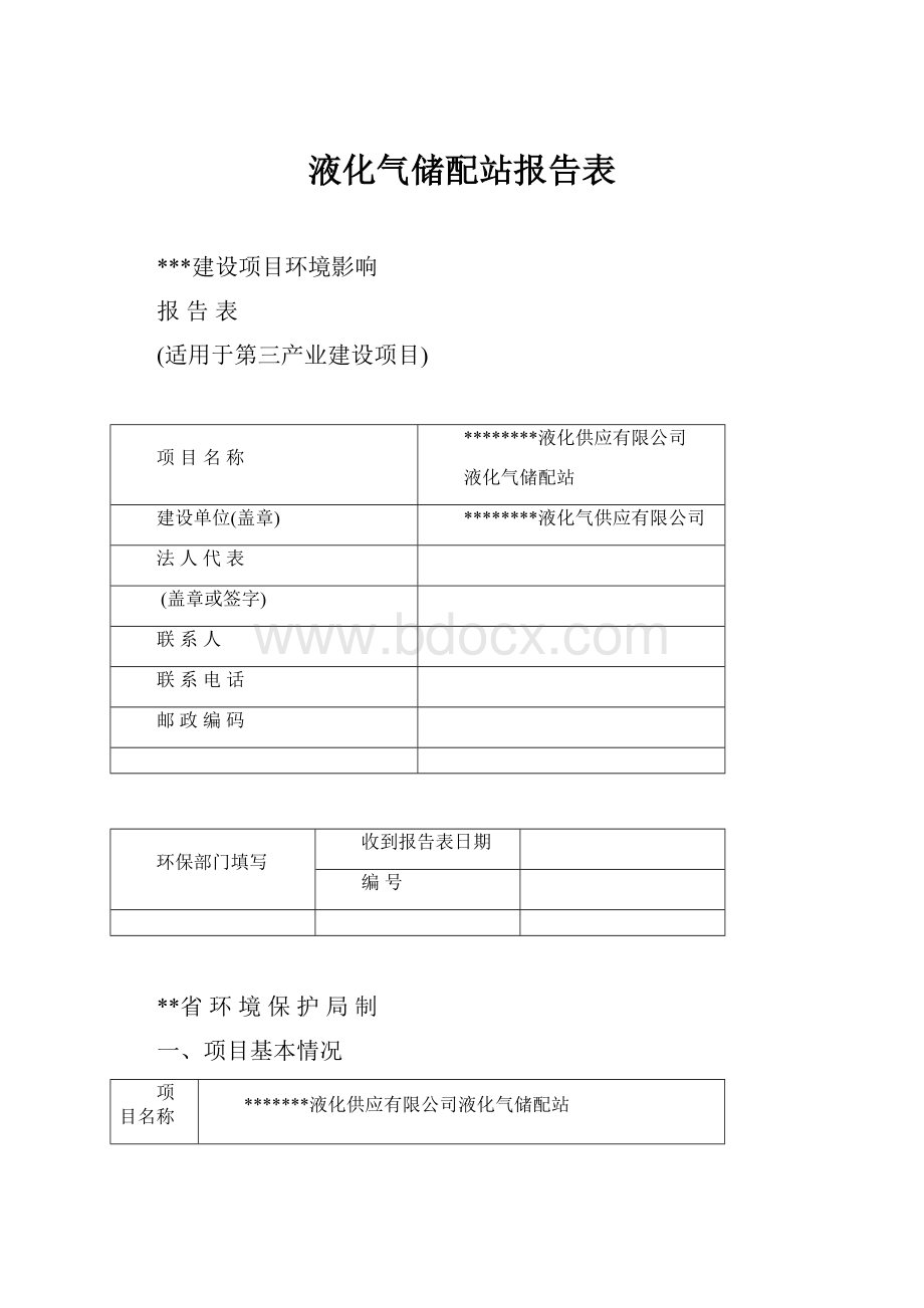 液化气储配站报告表Word格式.docx_第1页