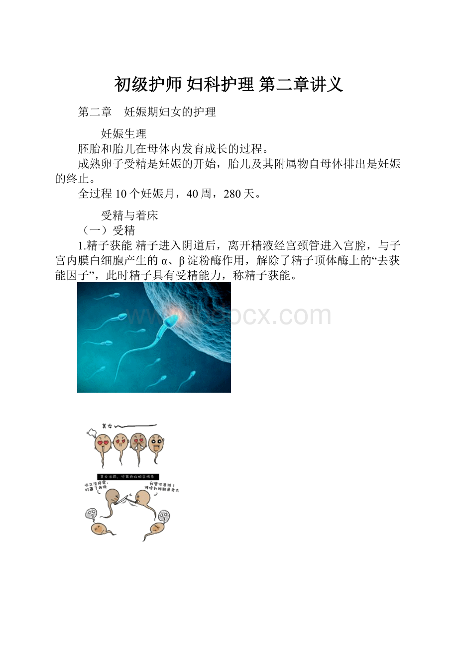 初级护师 妇科护理 第二章讲义Word格式.docx