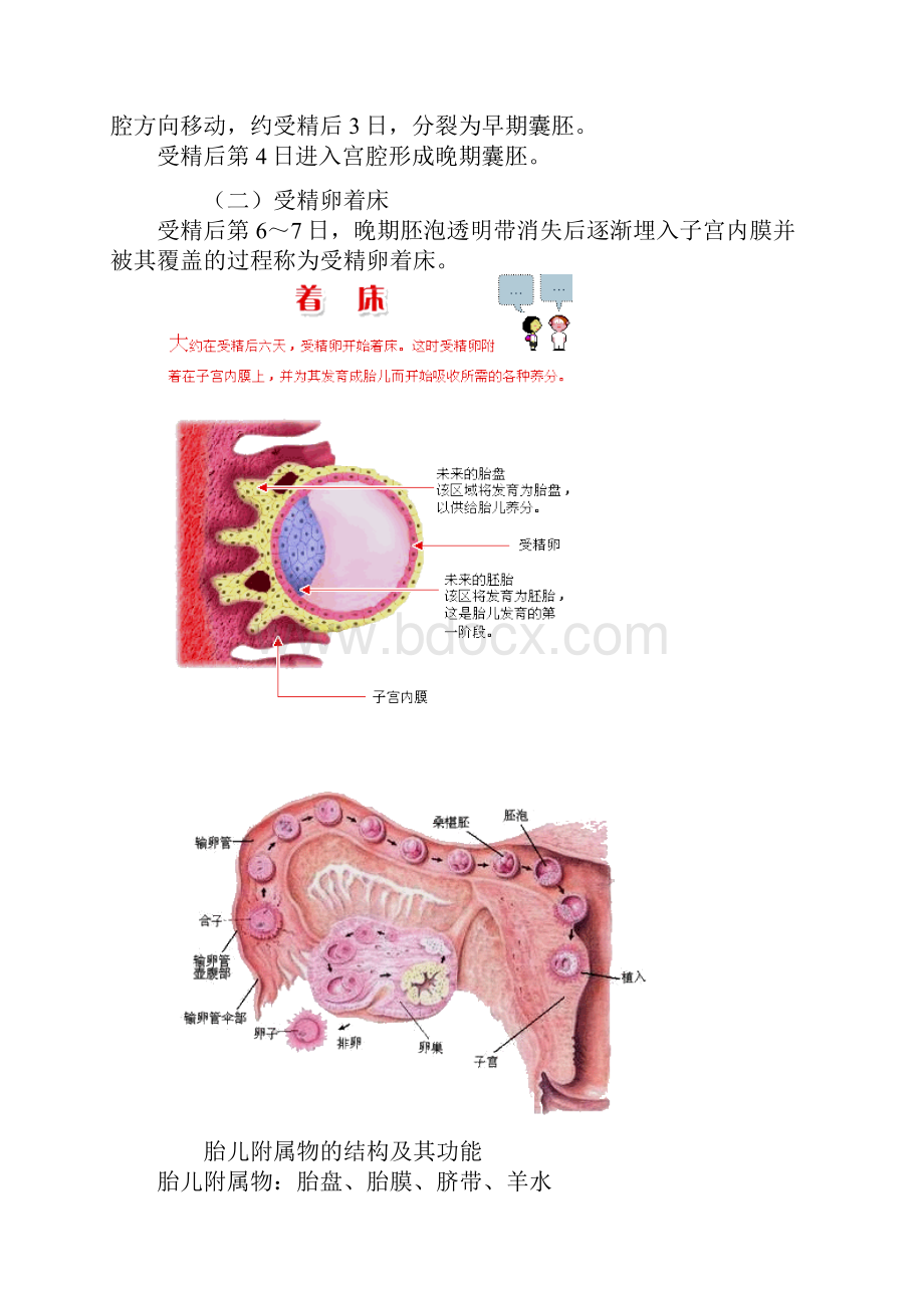 初级护师 妇科护理 第二章讲义.docx_第3页