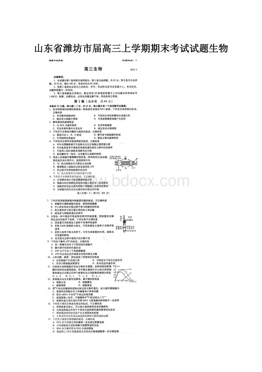 山东省潍坊市届高三上学期期末考试试题生物.docx_第1页