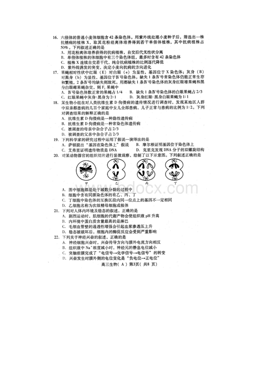 山东省潍坊市届高三上学期期末考试试题生物.docx_第2页