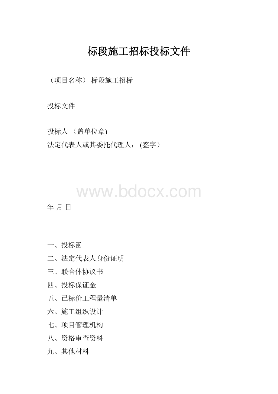 标段施工招标投标文件.docx_第1页