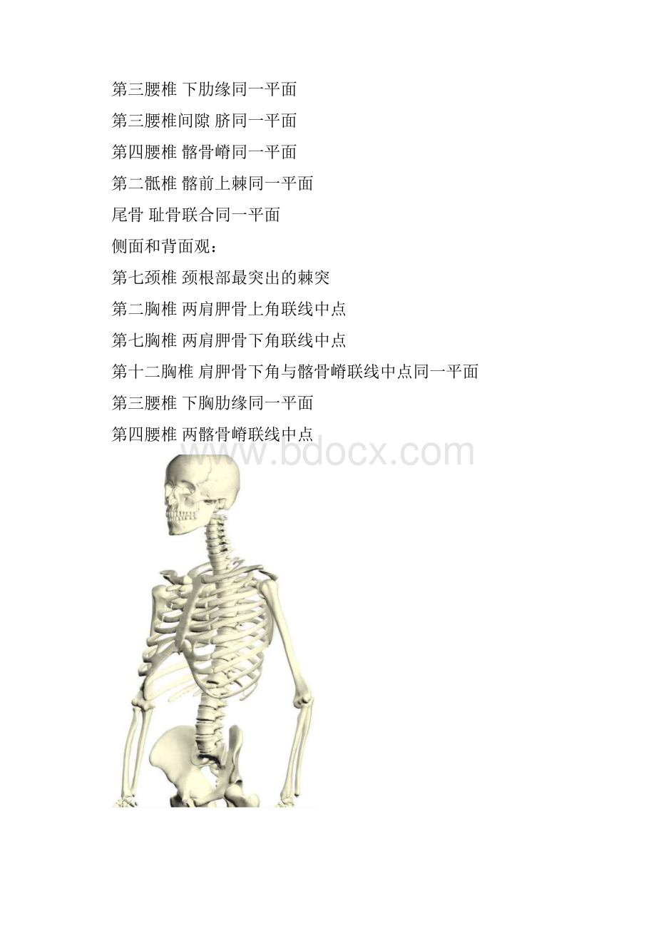 整理人体体表标志.docx_第2页