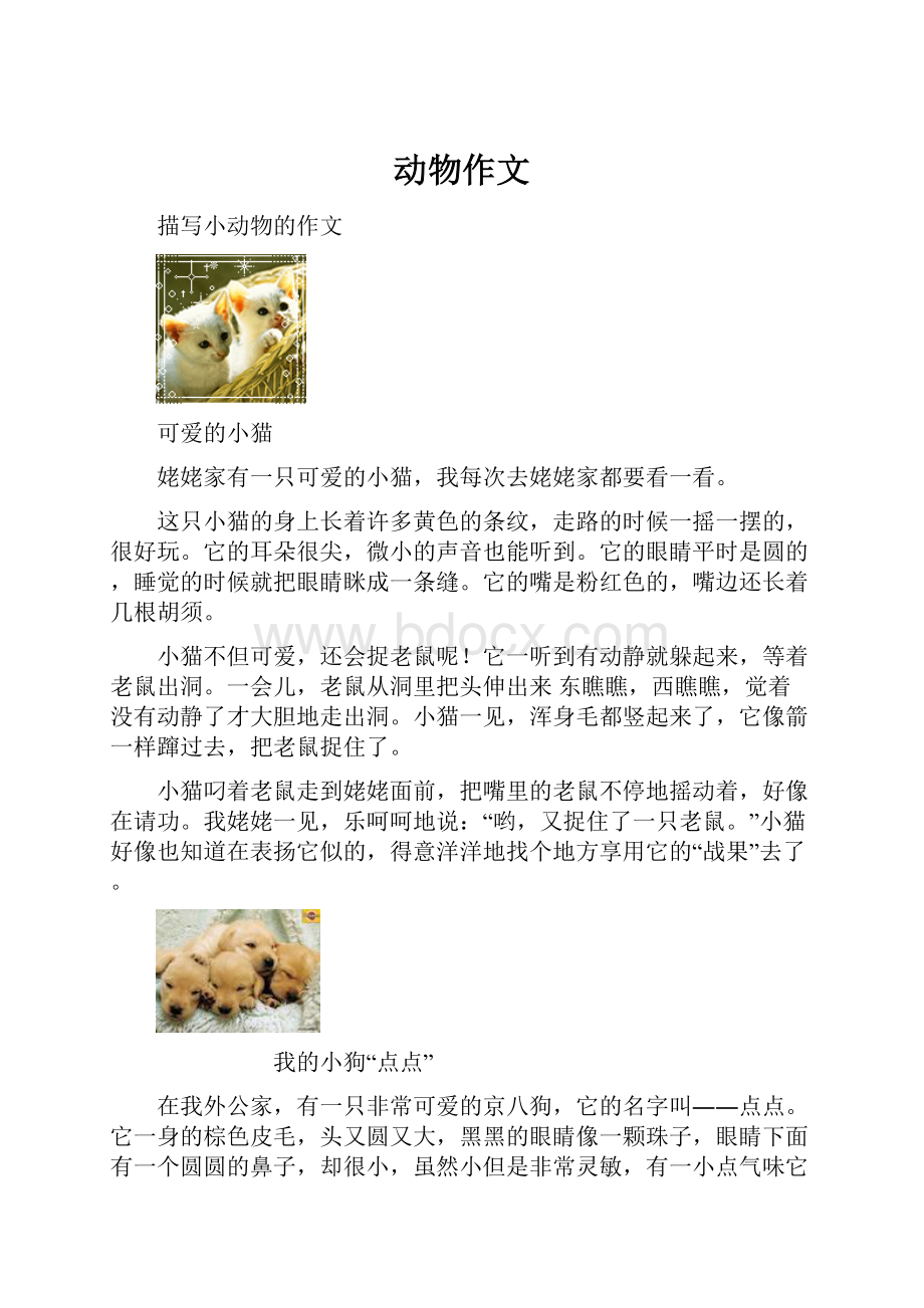 动物作文Word下载.docx