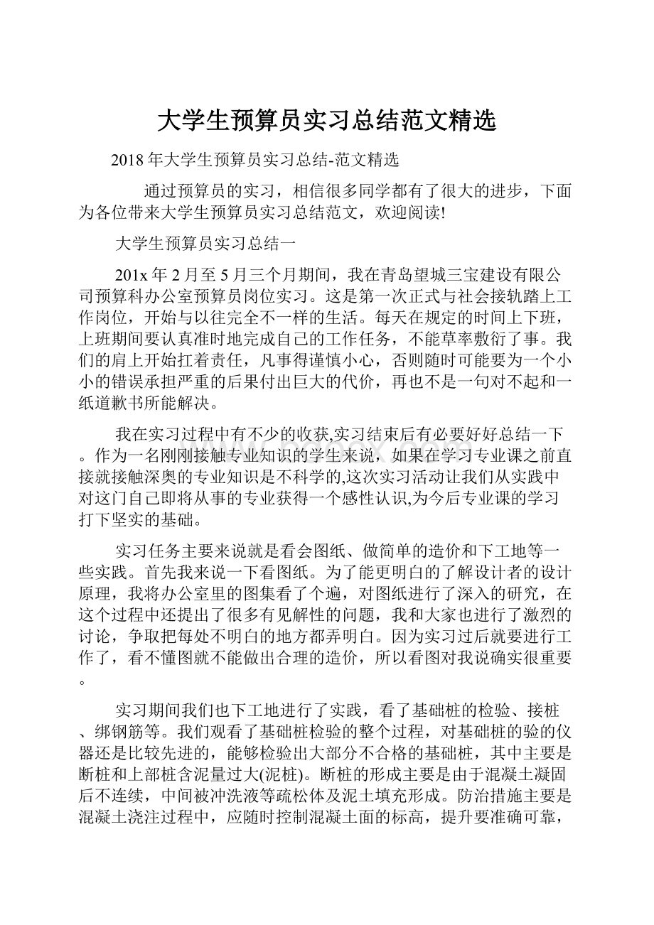 大学生预算员实习总结范文精选Word文档格式.docx