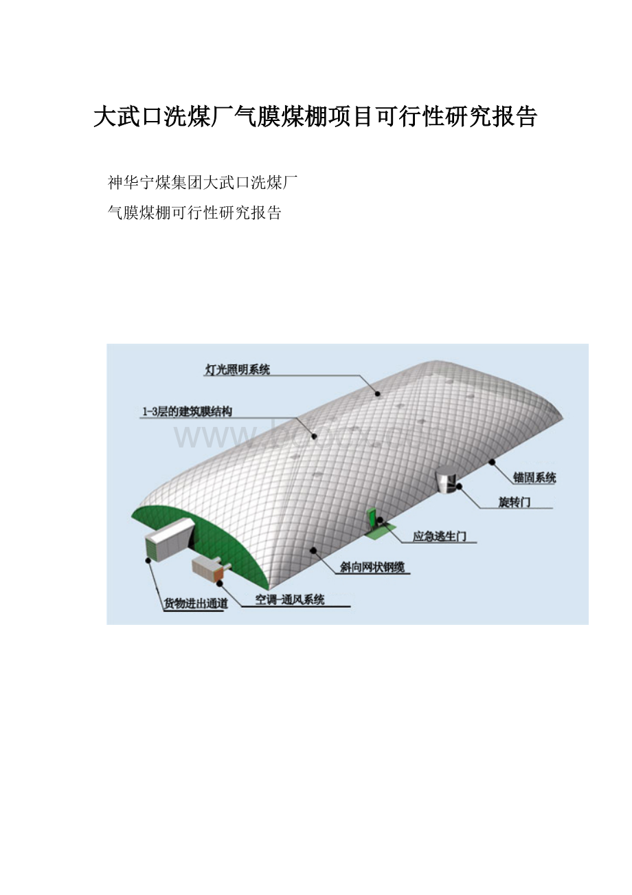 大武口洗煤厂气膜煤棚项目可行性研究报告.docx