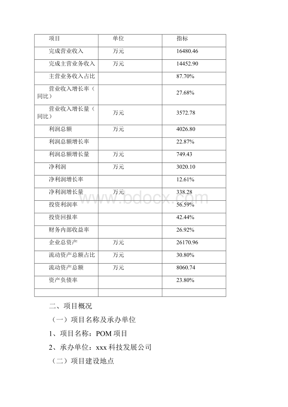 POM项目立项申请报告可编辑模板.docx_第3页