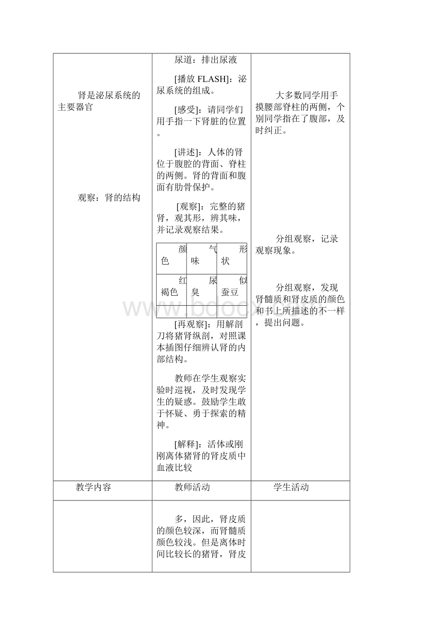 xx学年七年级生物下册教学辅助教案一x《人体泌尿系统的组成》苏教版.docx_第3页