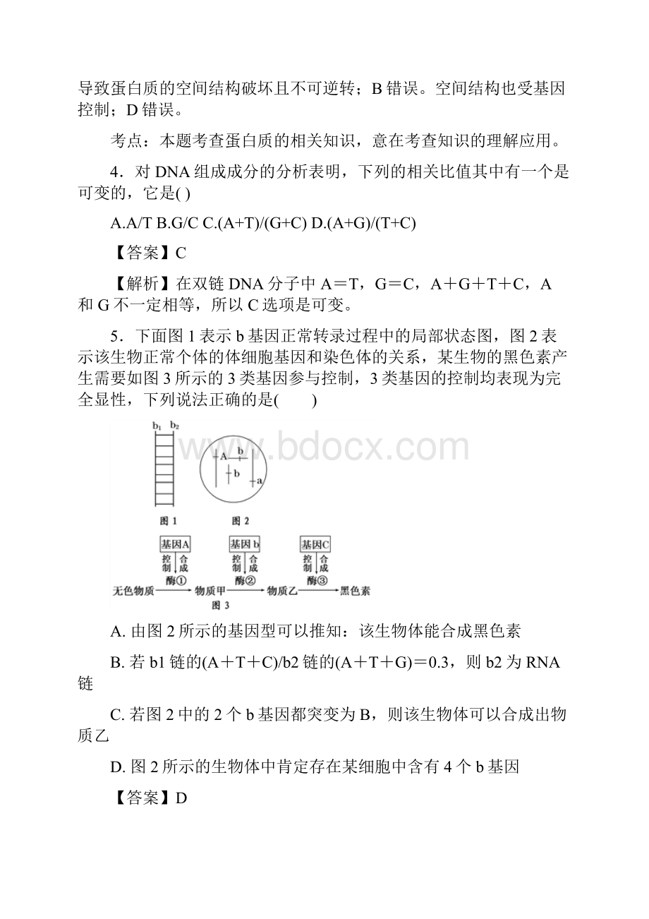 学年人教版必修2DNA的复制作业.docx_第3页