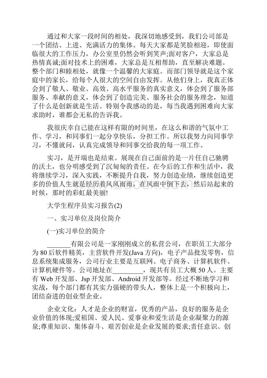 大学生程序员实习报告文档格式.docx_第3页