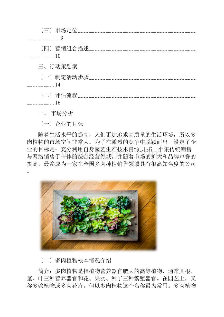 多肉植物市场营销策划书.docx_第3页