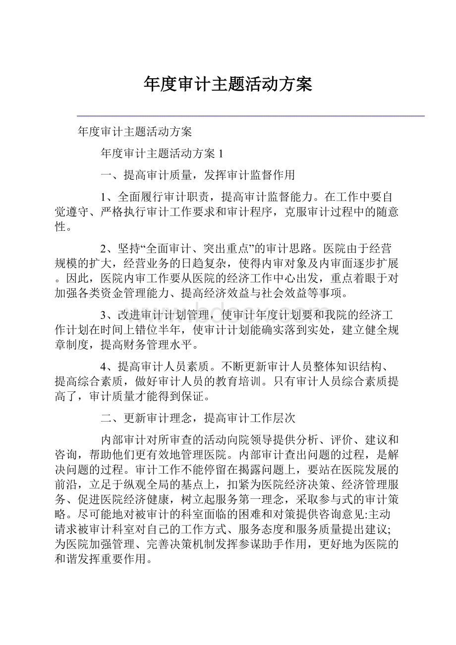 年度审计主题活动方案.docx